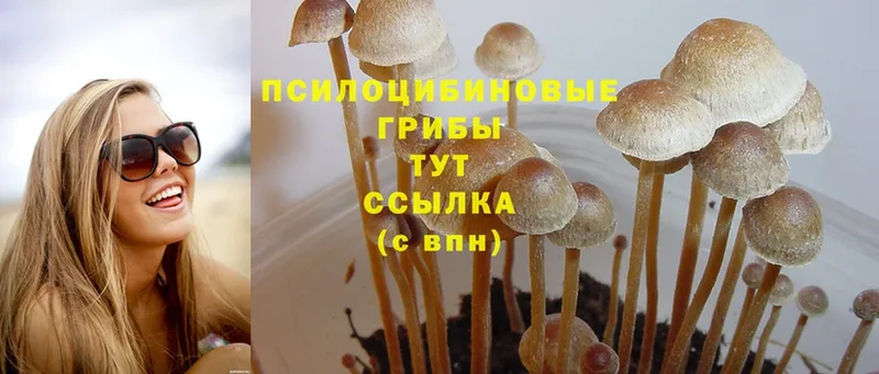 Псилоцибиновые грибы Magic Shrooms  как найти закладки  ссылка на мегу как зайти  Красноуральск 